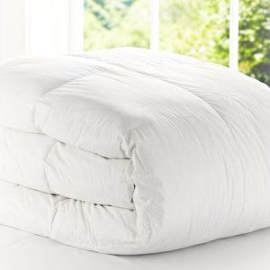 PB Teen Classic Down Duvet Insert (Queen)